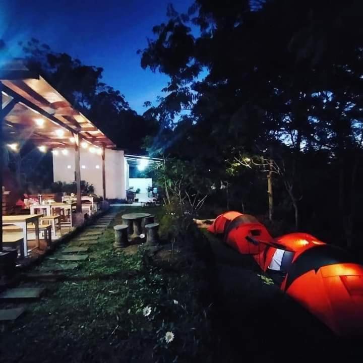 Bromo Tanjung Apartman Tosari Kültér fotó