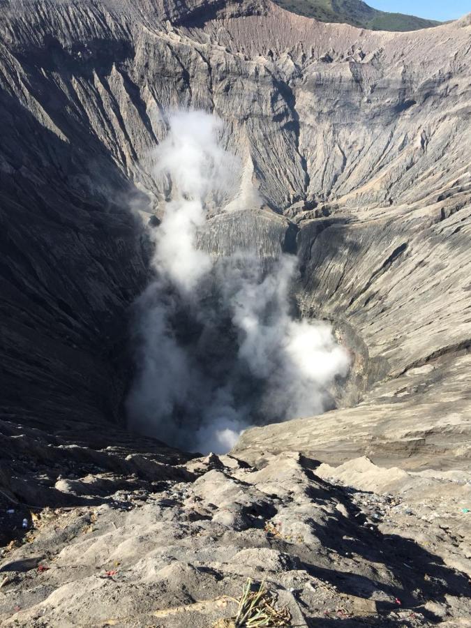 Bromo Tanjung Apartman Tosari Kültér fotó