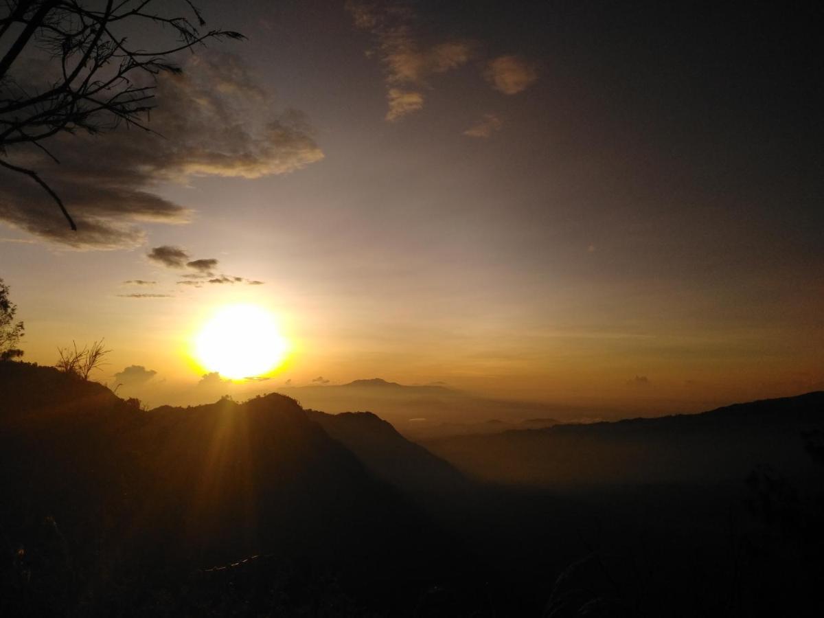 Bromo Tanjung Apartman Tosari Kültér fotó