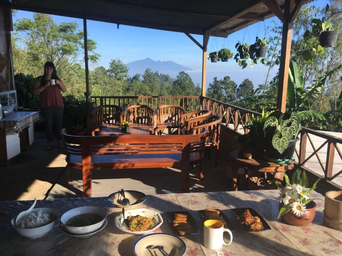 Bromo Tanjung Apartman Tosari Kültér fotó