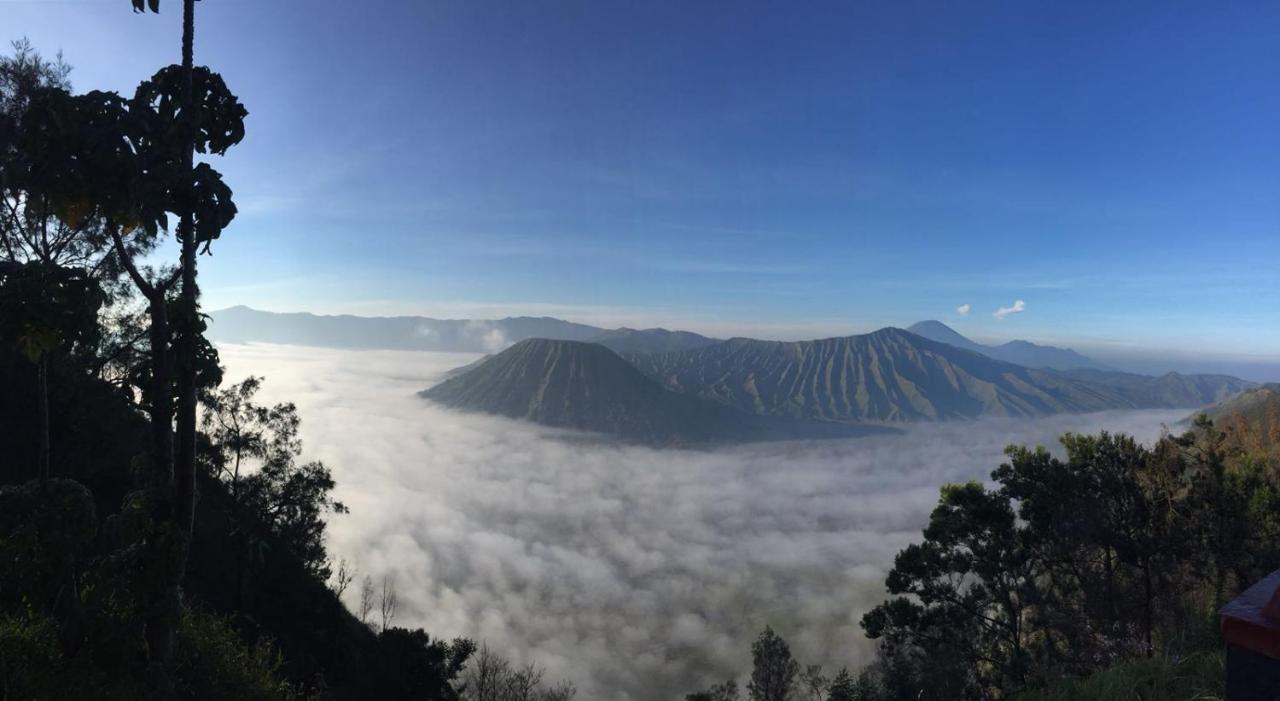 Bromo Tanjung Apartman Tosari Kültér fotó