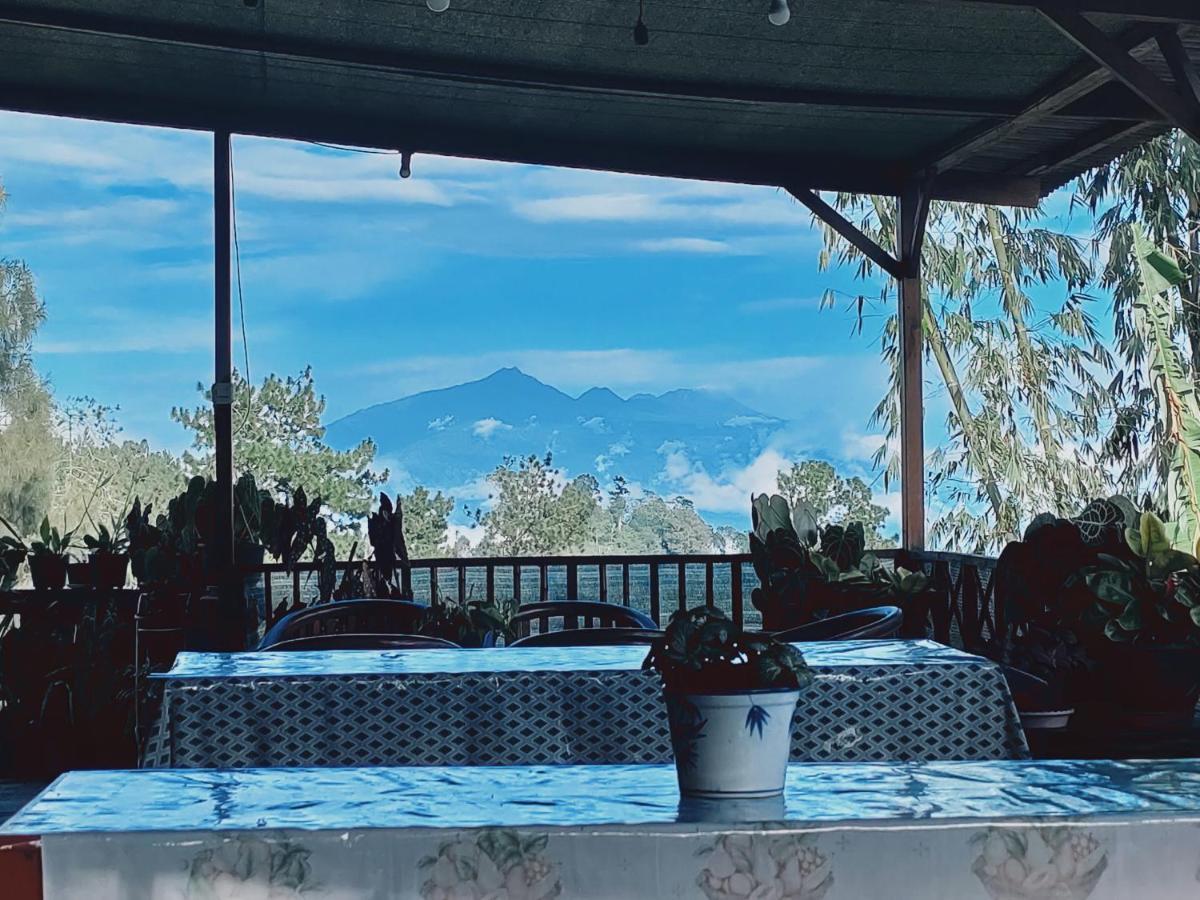 Bromo Tanjung Apartman Tosari Kültér fotó