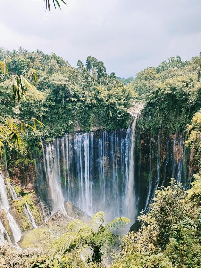 Bromo Tanjung Apartman Tosari Kültér fotó