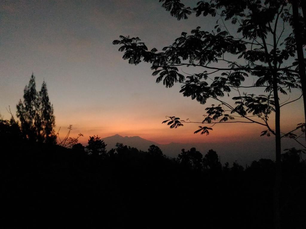 Bromo Tanjung Apartman Tosari Kültér fotó