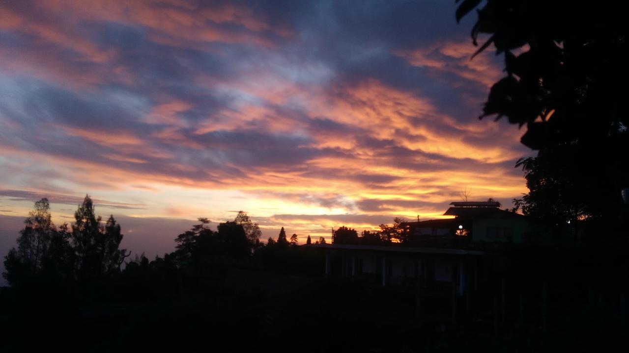 Bromo Tanjung Apartman Tosari Kültér fotó