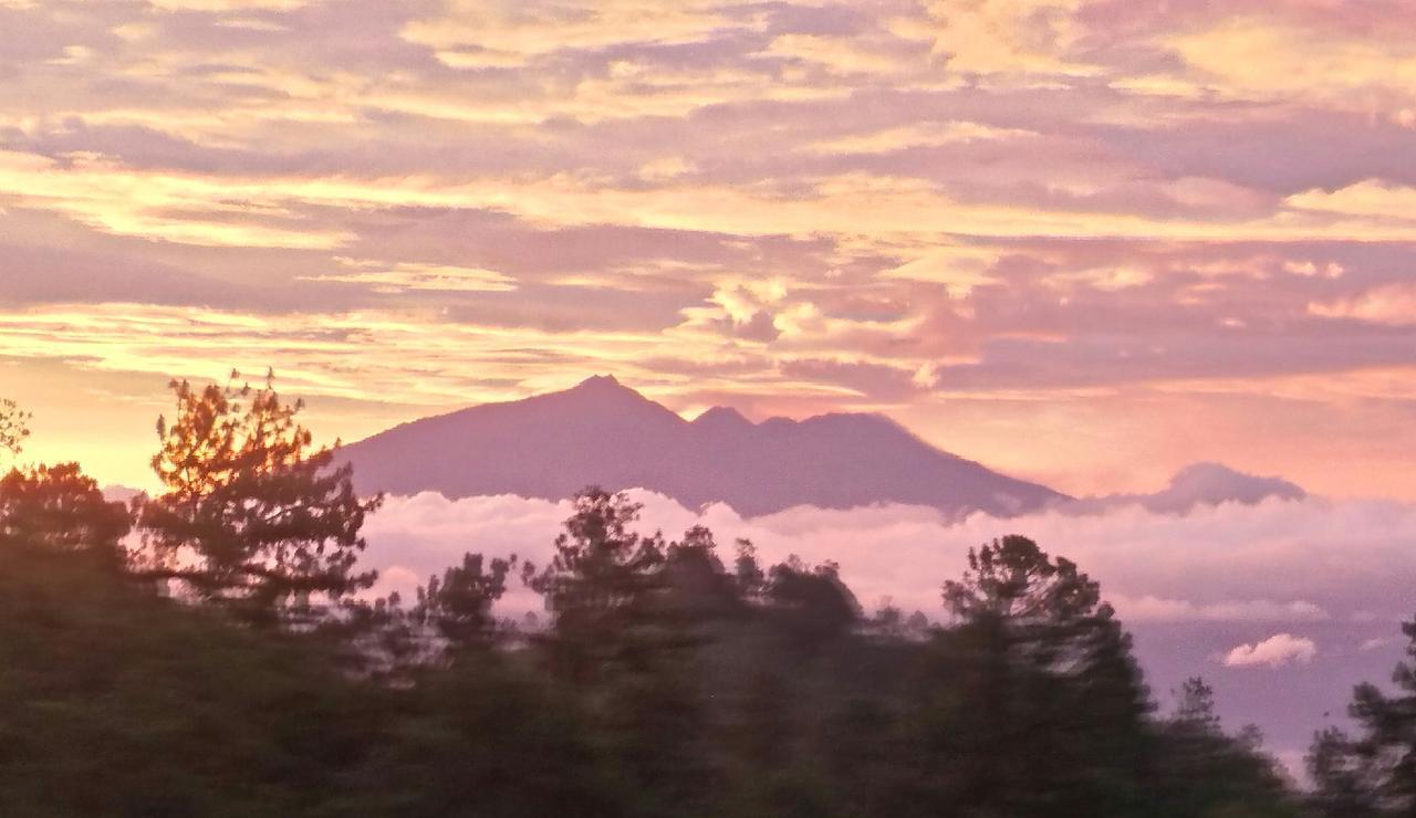 Bromo Tanjung Apartman Tosari Kültér fotó