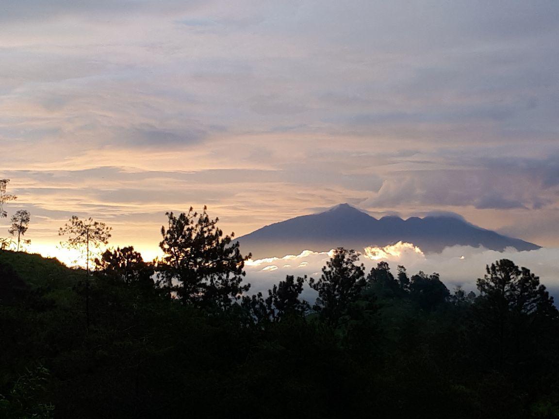 Bromo Tanjung Apartman Tosari Kültér fotó