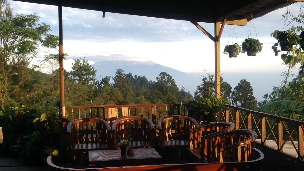 Bromo Tanjung Apartman Tosari Kültér fotó